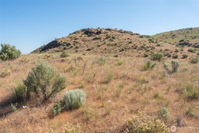 0 Tract 6 McNeil Canyon Rd , Orondo, WA 98816 - Photo 7