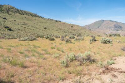 0 Tract 6 McNeil Canyon Rd , Orondo, WA 98816 - Photo 8