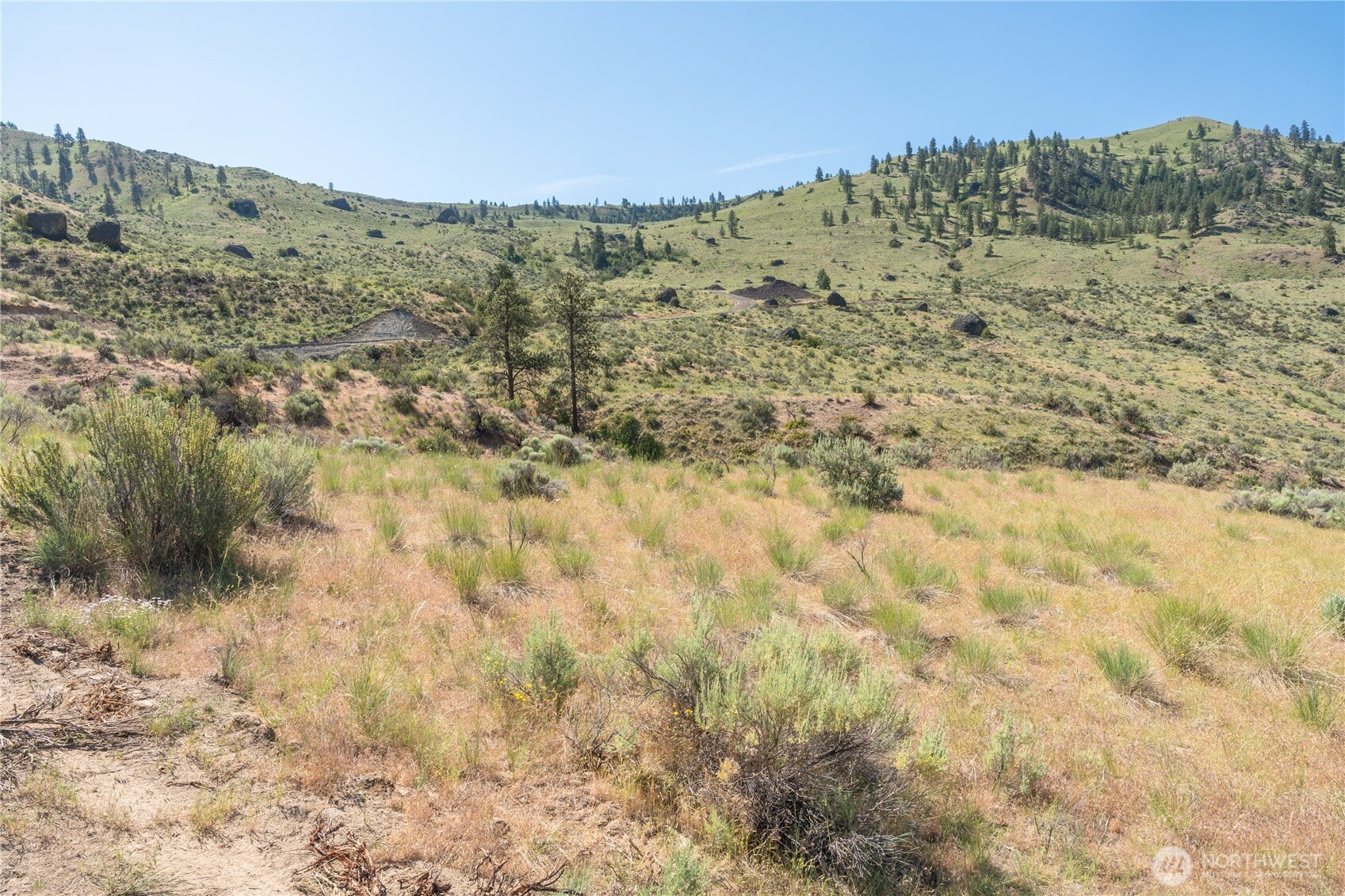 0 Tract 6 McNeil Canyon Rd , Orondo, WA 98816