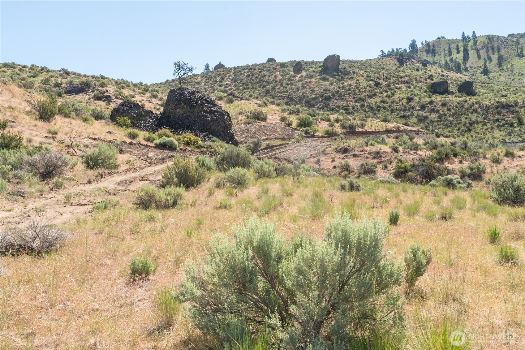 0 Tract 6 McNeil Canyon Rd , Orondo, WA 98816
