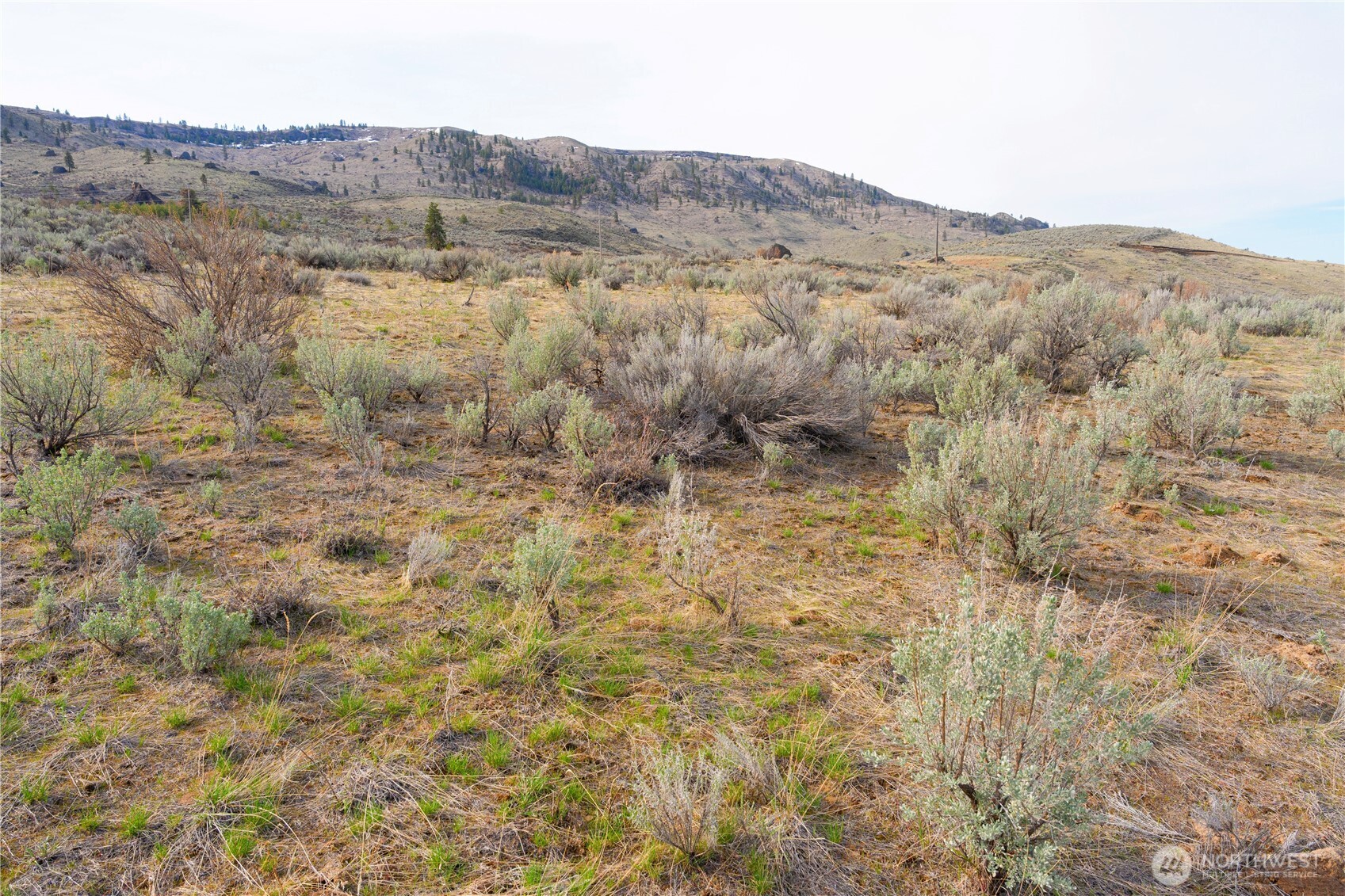 0 Parcel E McNeil Canyon Rd , Orondo, WA 98816
