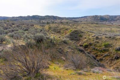 0 Tract 3 McNeil Canyon Rd , Orondo, WA 98816 - Photo 13