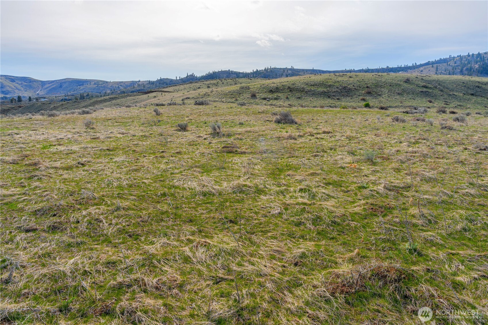 0 Tract 3 McNeil Canyon Rd , Orondo, WA 98816