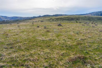 0 Tract 5 McNeil Canyon Rd , Orondo, WA 98816 - Photo 7