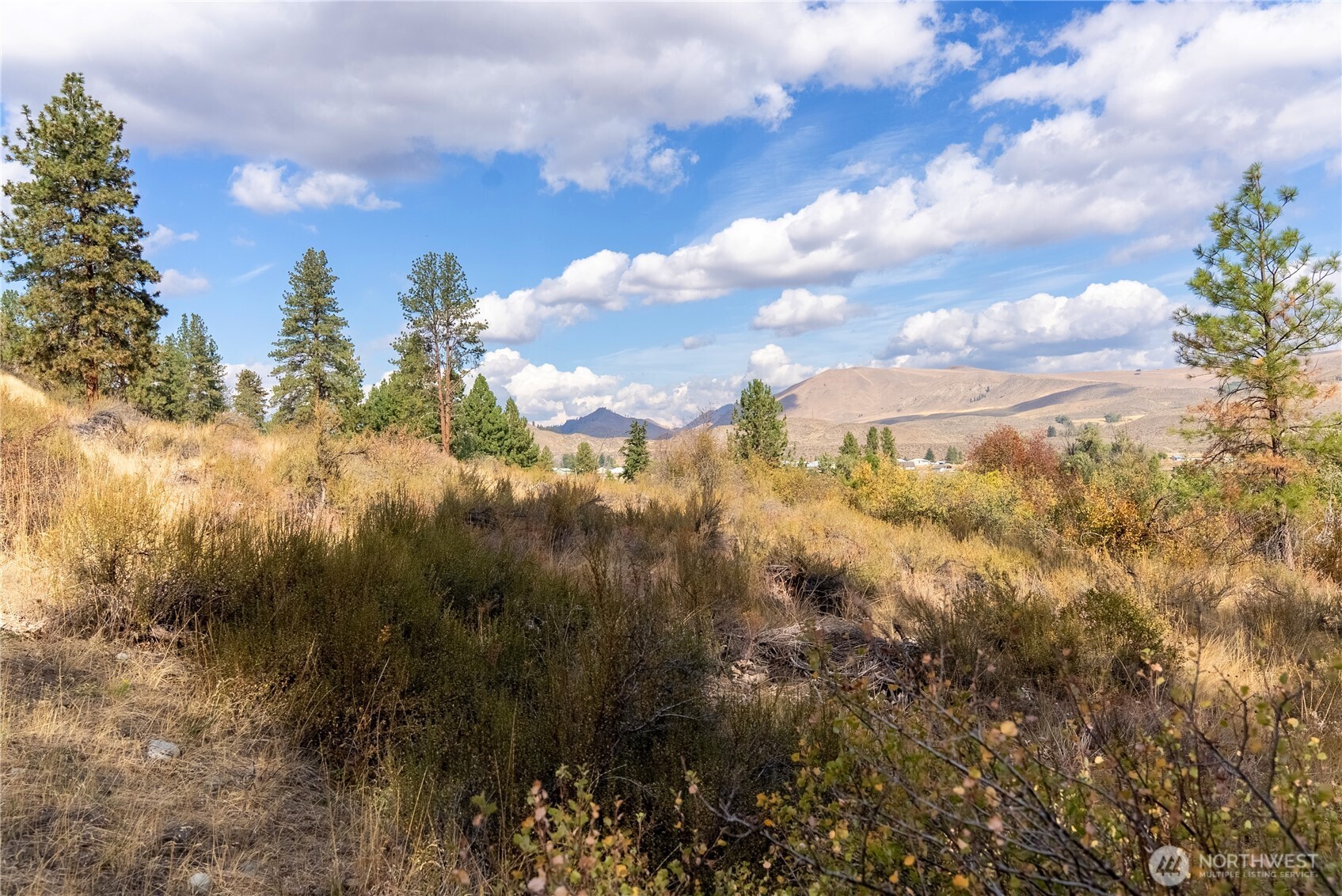 803 C Twisp Carlton Road , Twisp, WA 98856
