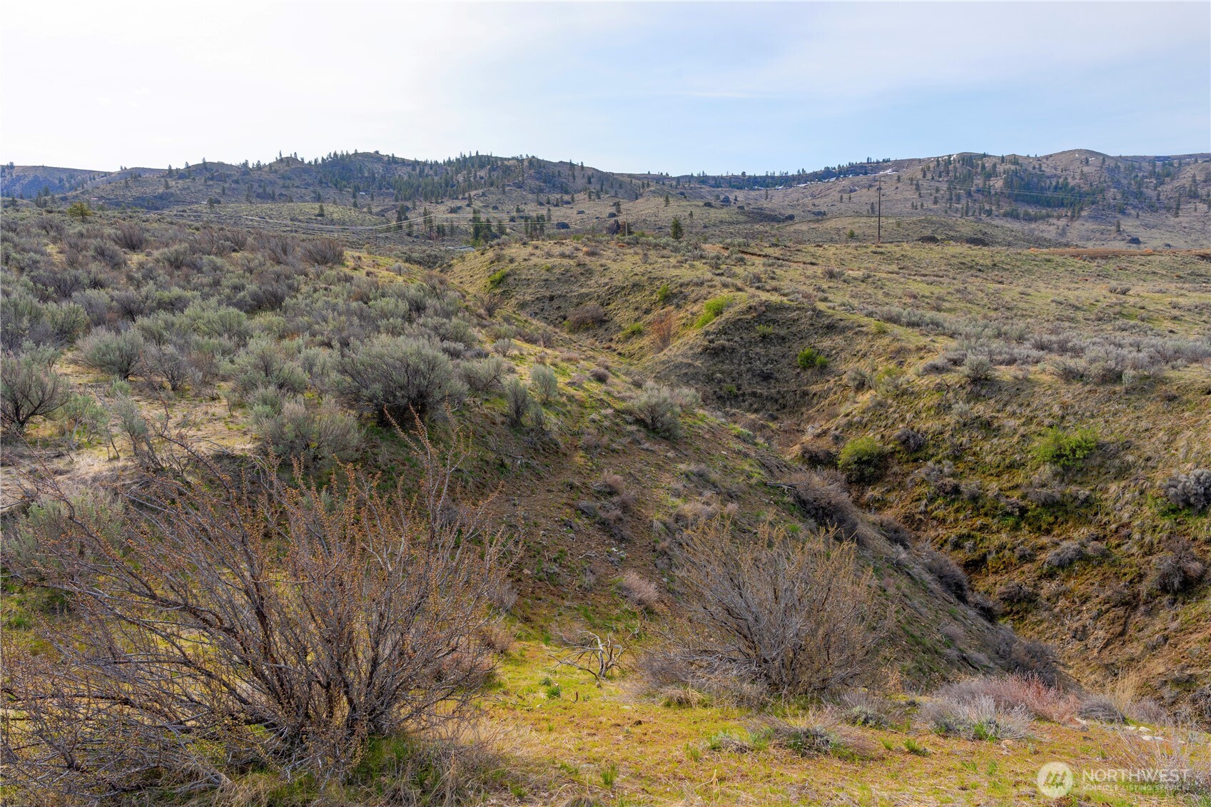 0 Tract 2 McNeil Canyon Rd , Orondo, WA 98816