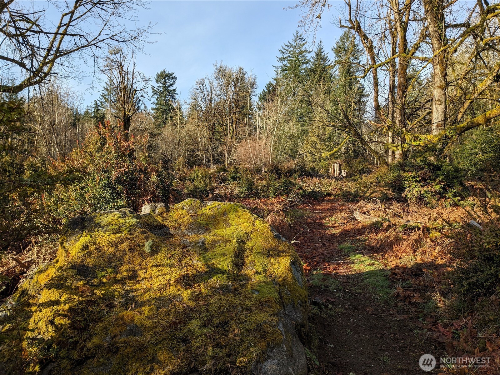 681 E Jared Road , Shelton, WA 98584