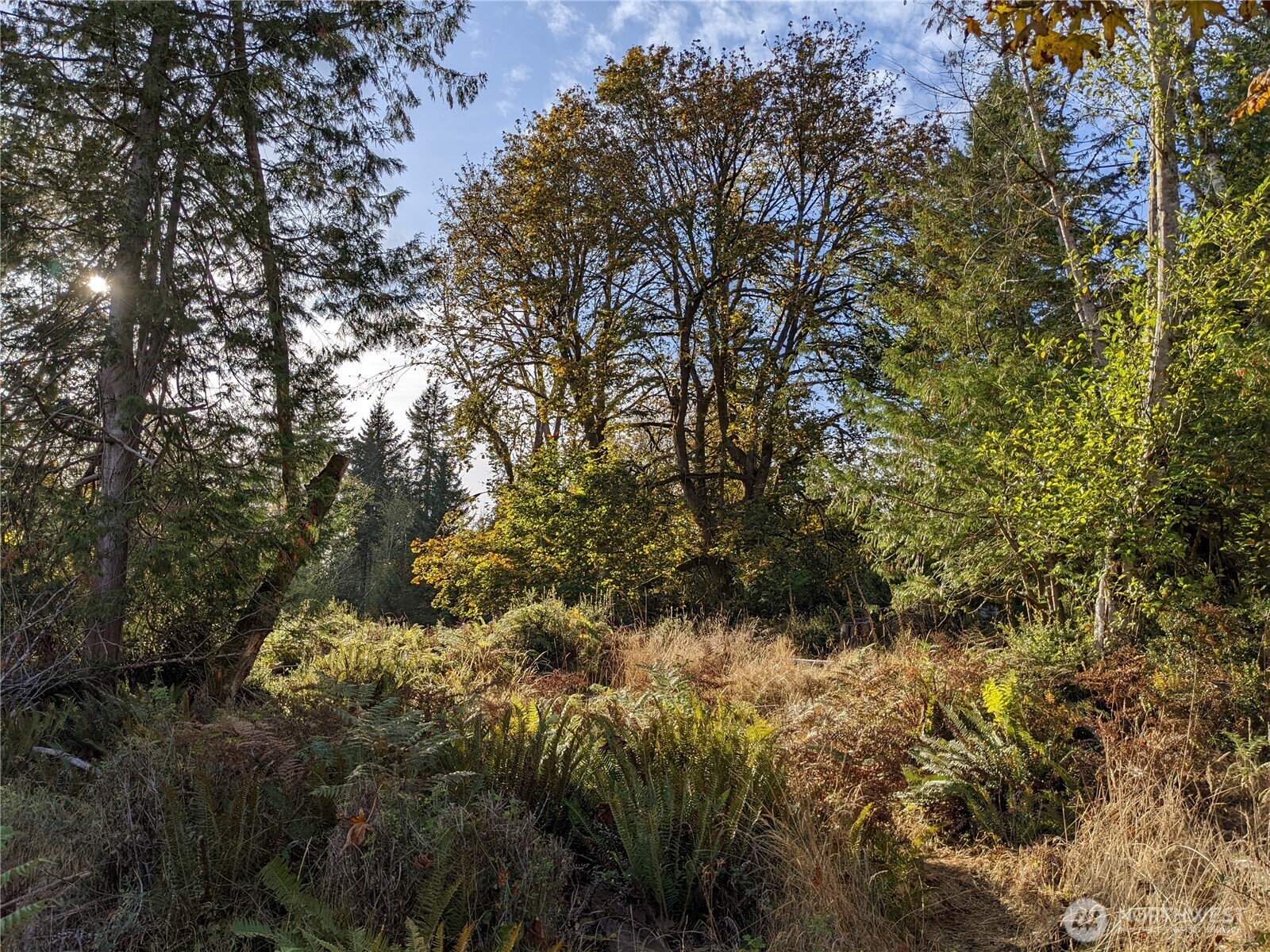 681 E Jared Road , Shelton, WA 98584