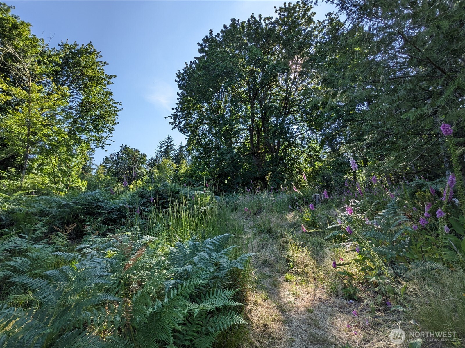 681 E Jared Road , Shelton, WA 98584