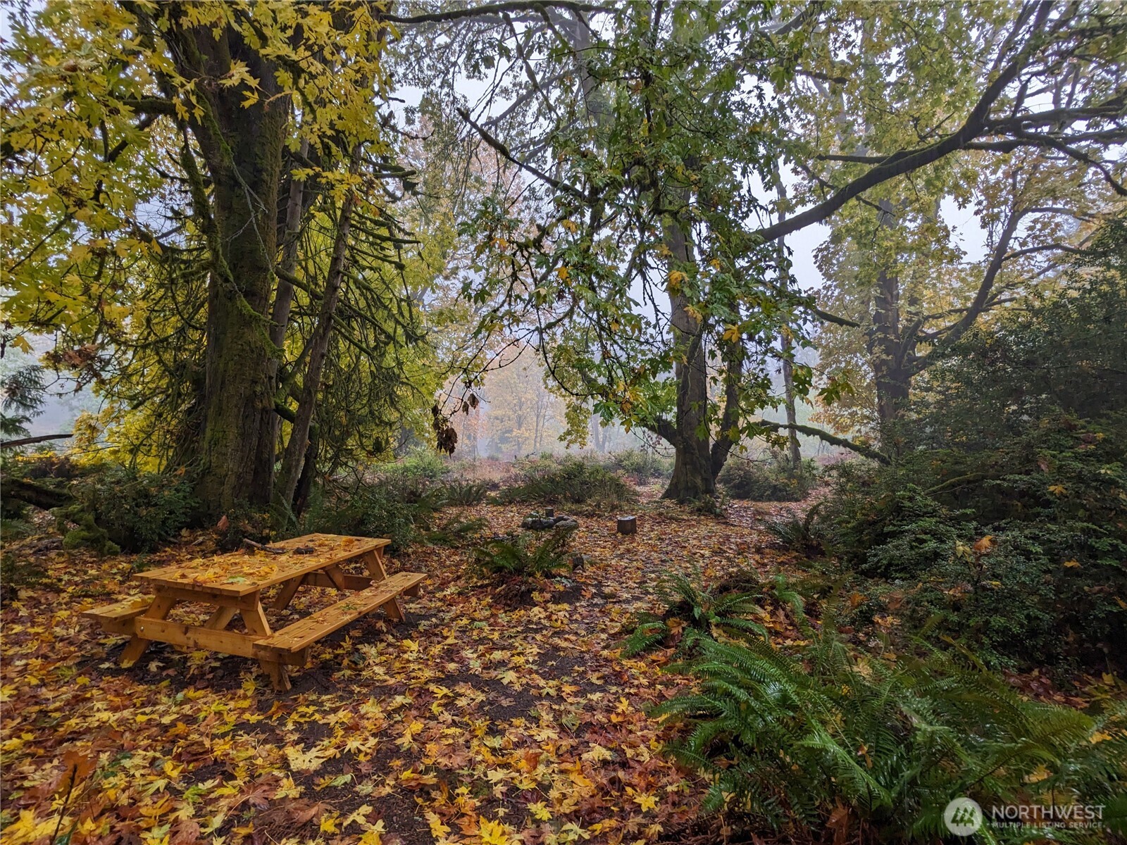 681 E Jared Road , Shelton, WA 98584