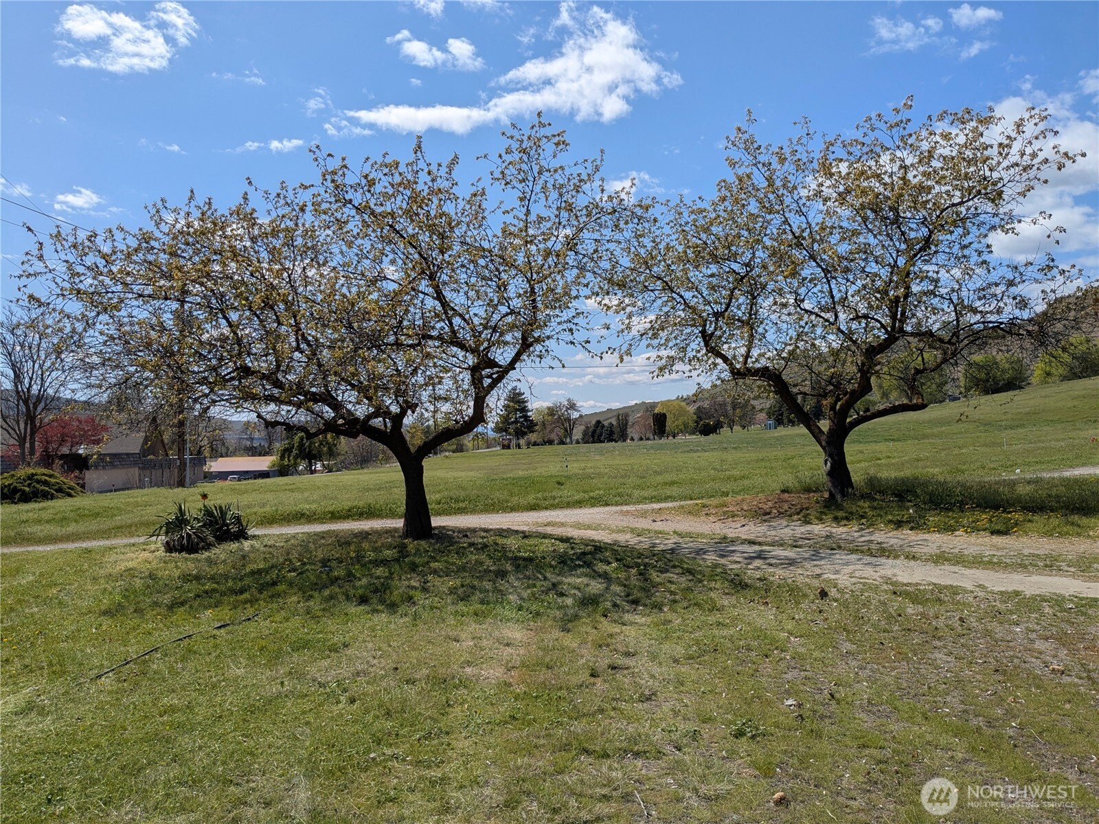 2549 N 4th Avenue , Okanogan, WA 98840