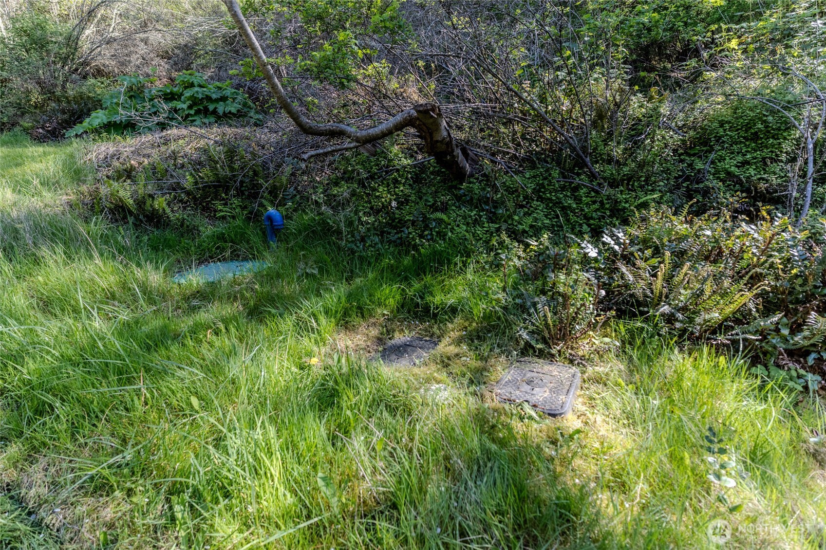 0 NKA N Street , Port Townsend, WA 98368