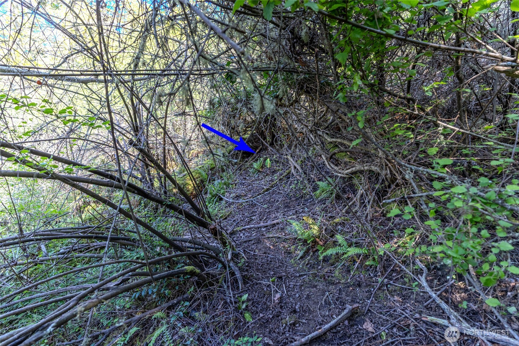 0 NKA N Street , Port Townsend, WA 98368