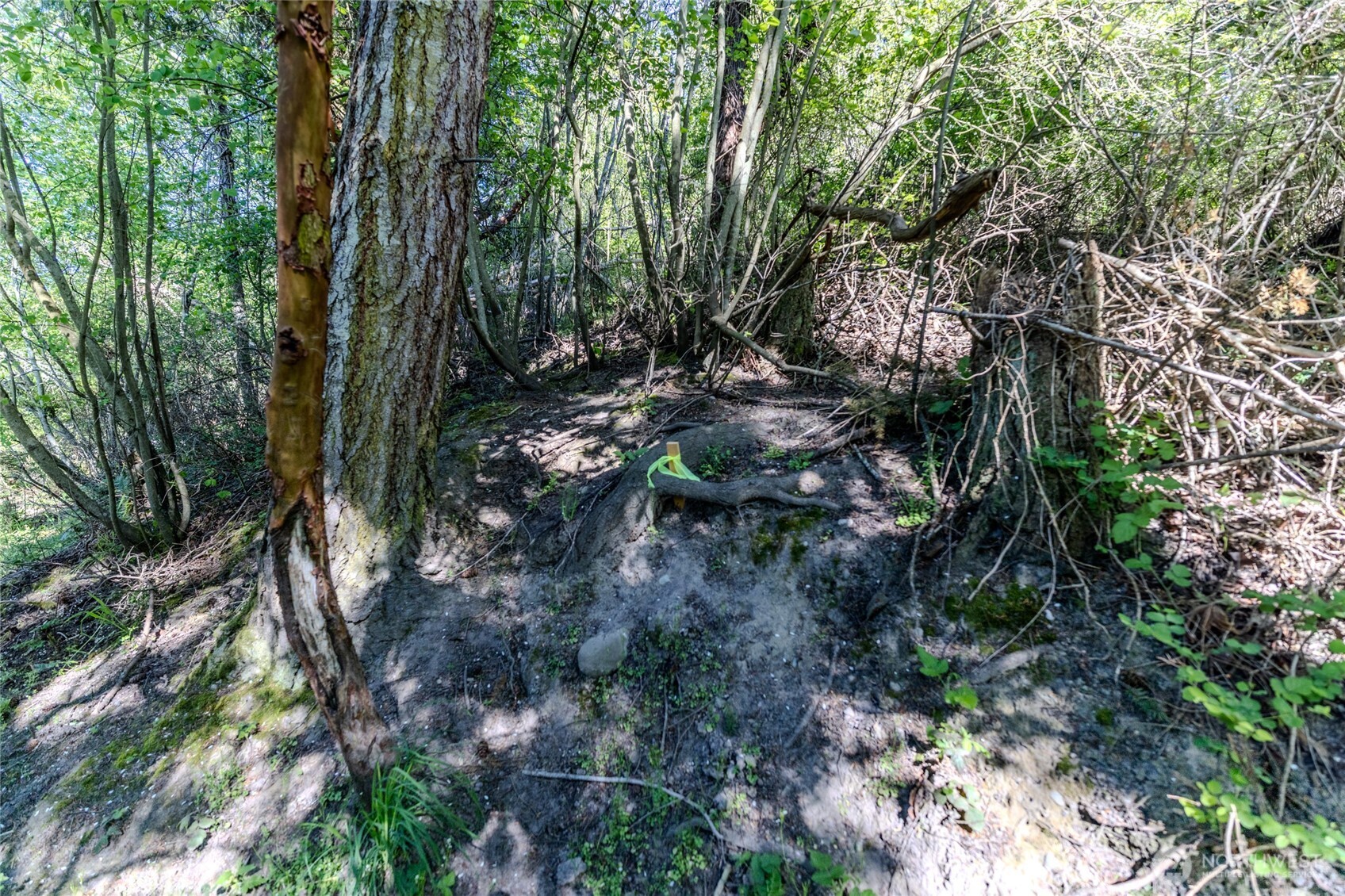 0 NKA N Street , Port Townsend, WA 98368