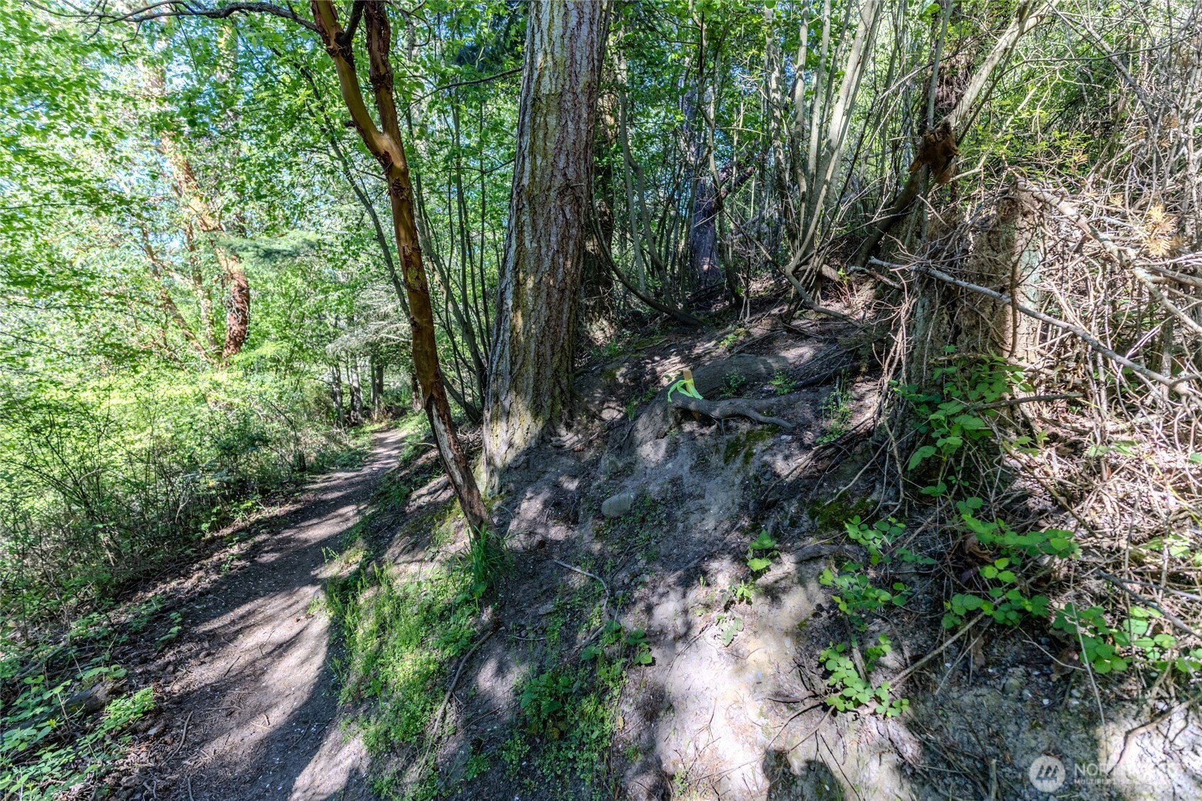 0 NKA N Street , Port Townsend, WA 98368