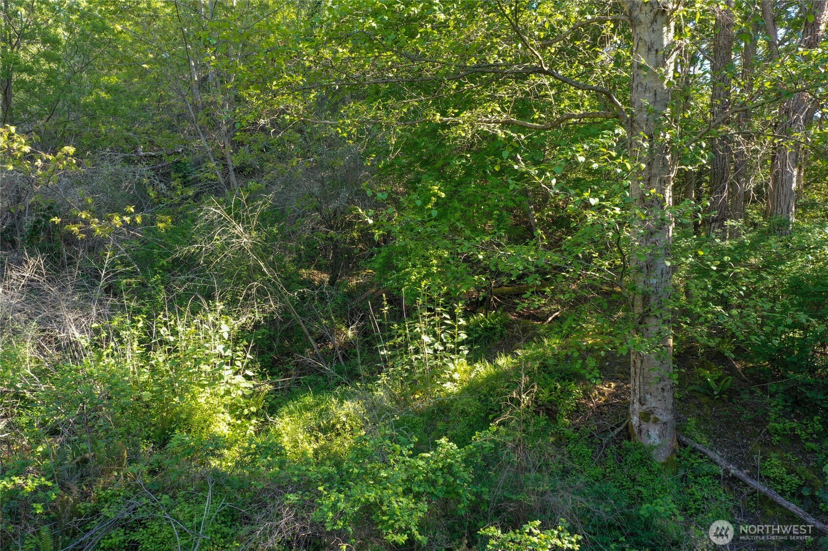 0 NKA N Street , Port Townsend, WA 98368