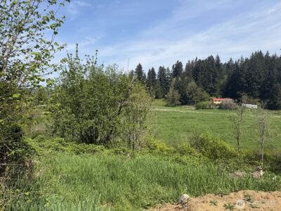 0 Roswell Road , Centralia, WA 98531