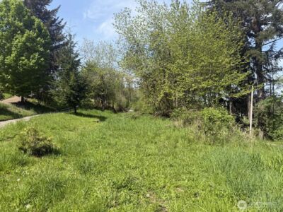 0 Roswell Road , Centralia, WA 98531 - Photo 3