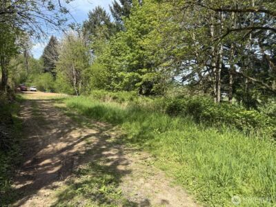 0 Roswell Road , Centralia, WA 98531 - Photo 5
