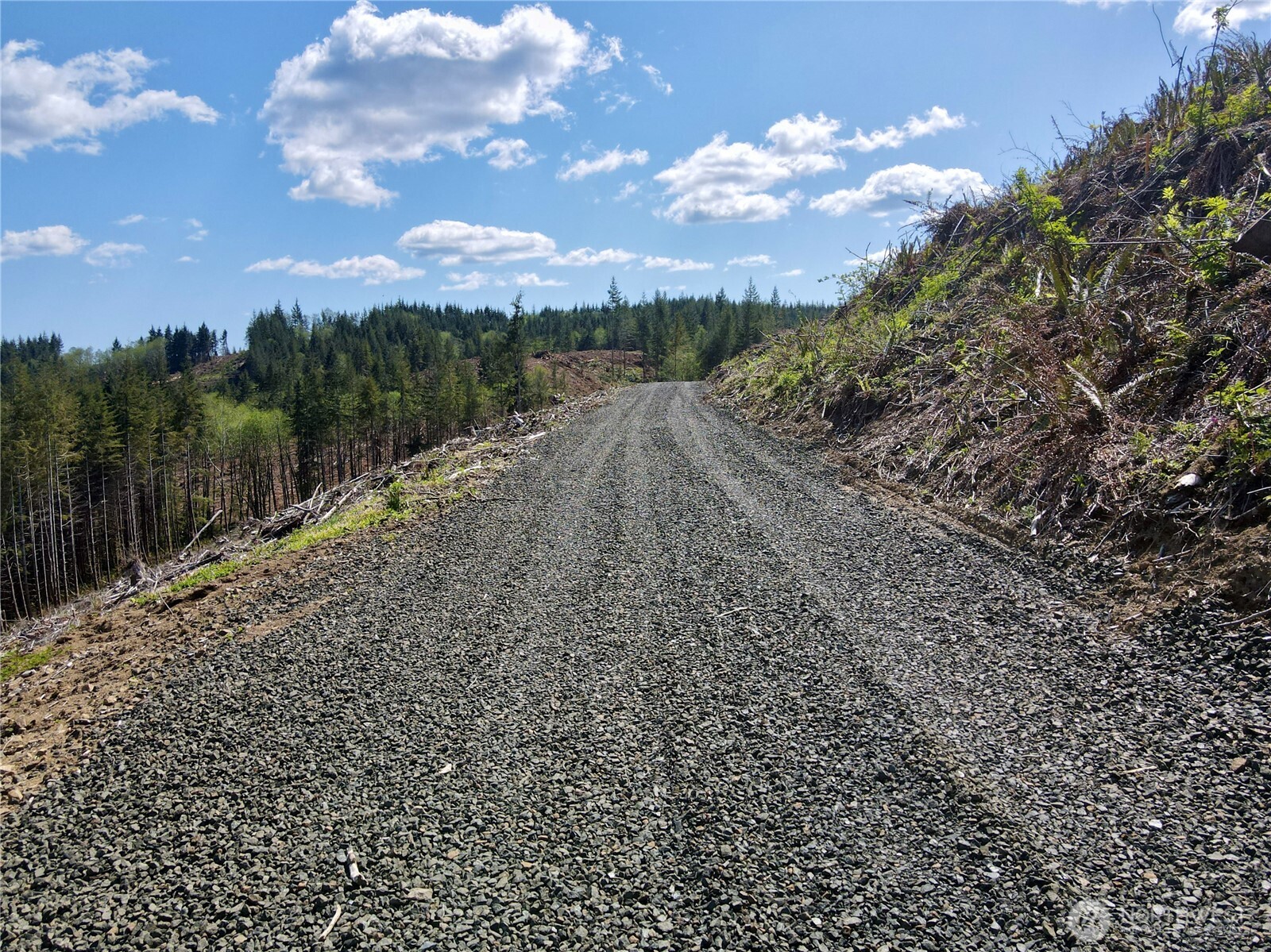 8468 Us Highway 101 , South Bend, WA 98586