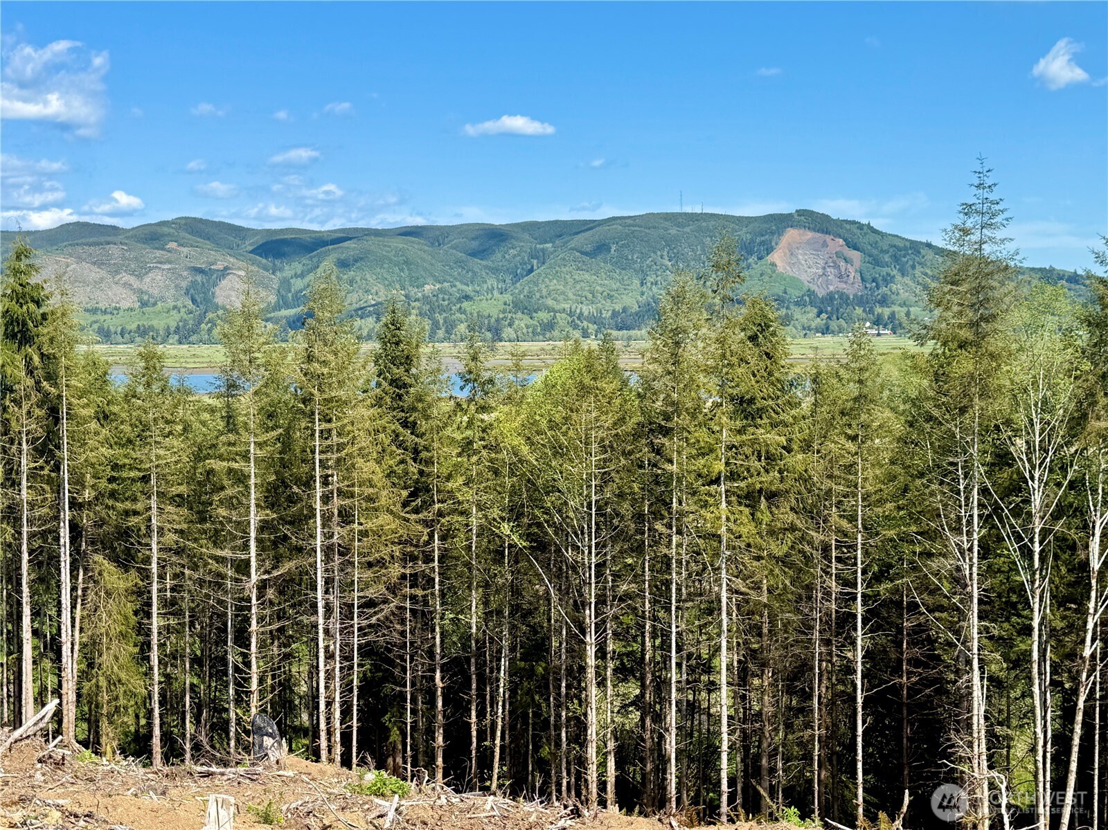 8468 Us Highway 101 , South Bend, WA 98586