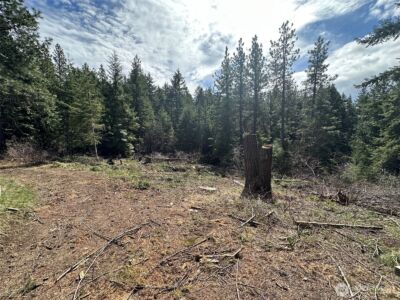 170 Morel Road , Ronald, WA 98940 - Photo 3
