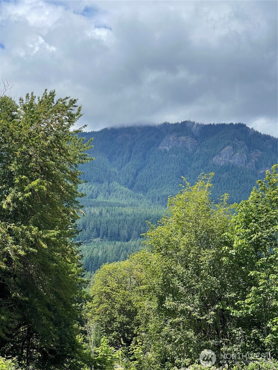 226 Bennett Road , Randle, WA 98377