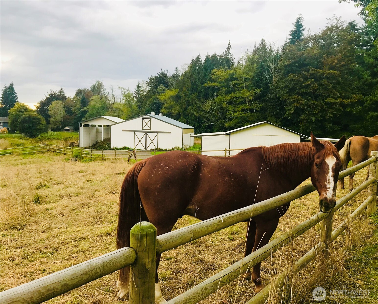 27515 Florence Acres Road , Monroe, WA 98272