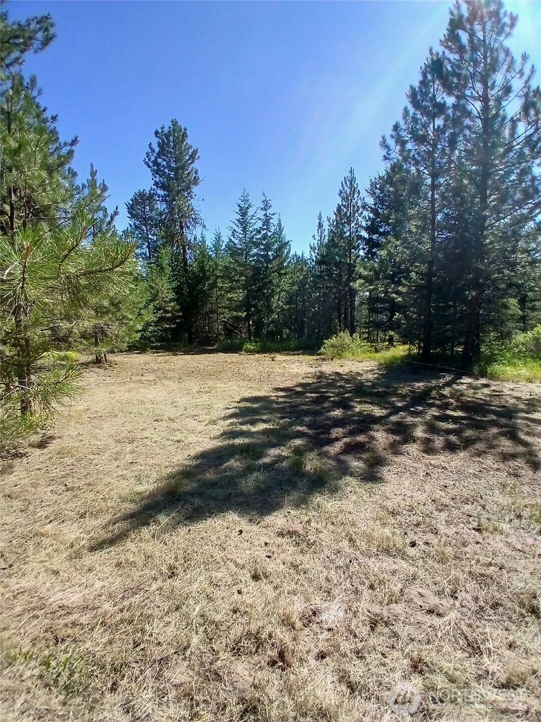 38 BROSER Way W, Tonasket, WA 98855