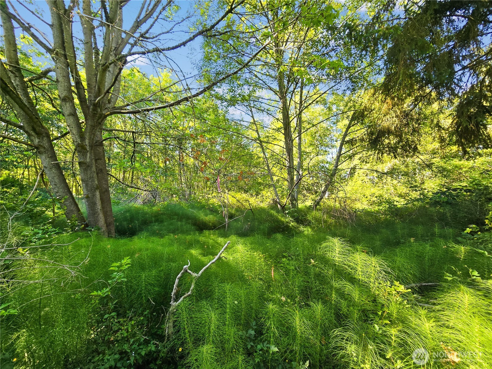 4985 Bakerview Road , Oak Harbor, WA 98277-0380
