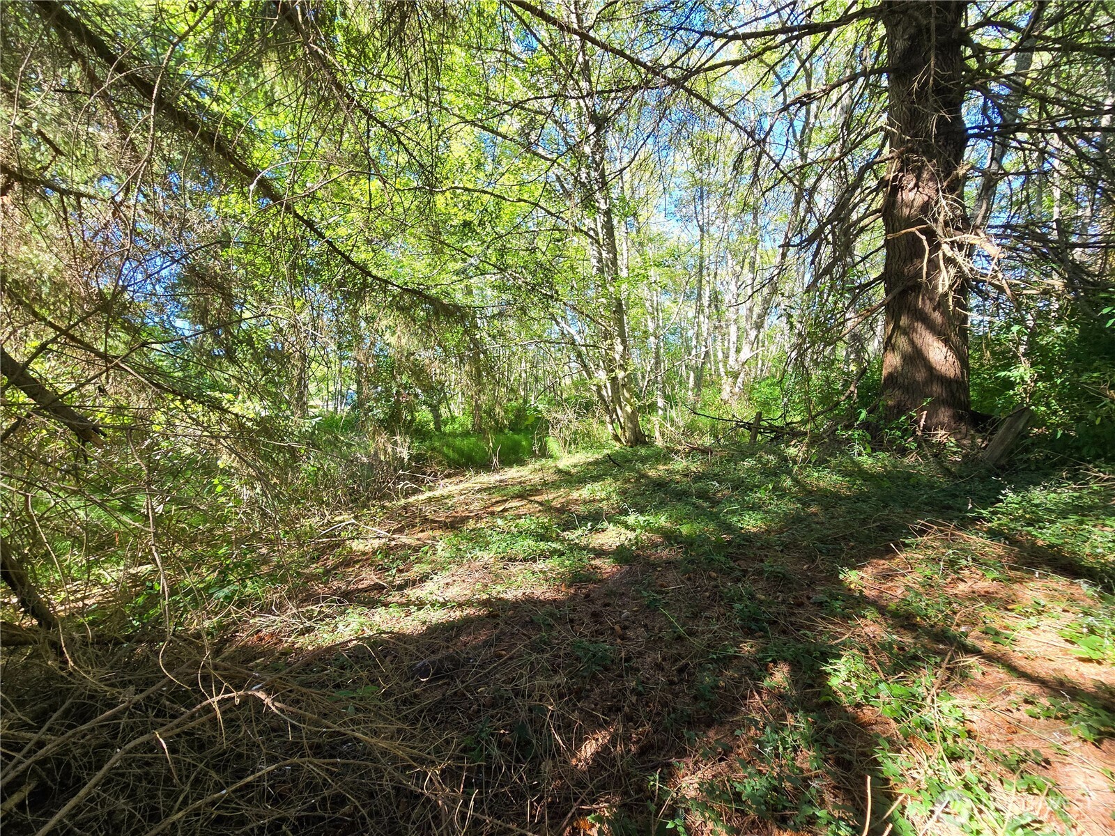 4985 Bakerview Road , Oak Harbor, WA 98277-0380