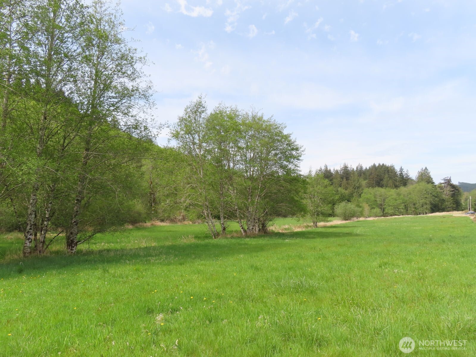 0 XXX Hagen Road , Mossyrock, WA 98645