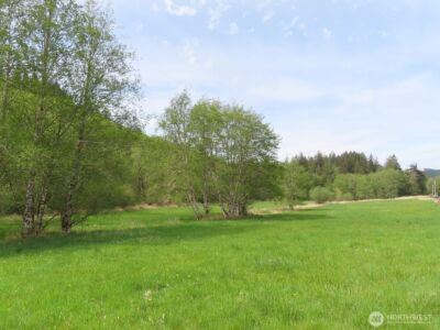 0 XXX Hagen Road , Mossyrock, WA 98645 - Photo 1
