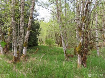 0 XXX Hagen Road , Mossyrock, WA 98645 - Photo 12