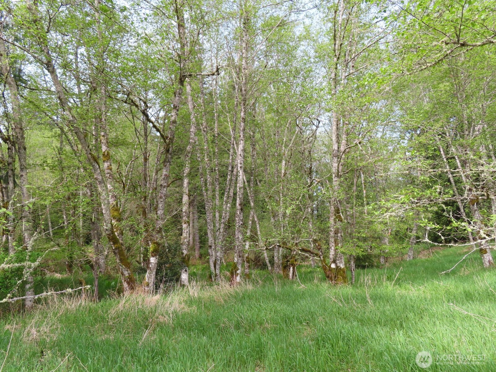 0 XXX Hagen Road , Mossyrock, WA 98645