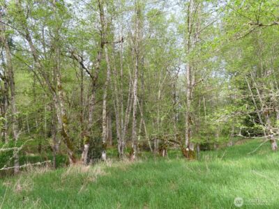 0 XXX Hagen Road , Mossyrock, WA 98645 - Photo 13