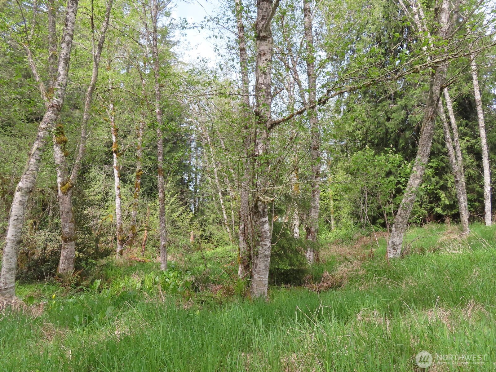 0 XXX Hagen Road , Mossyrock, WA 98645