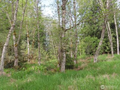 0 XXX Hagen Road , Mossyrock, WA 98645 - Photo 16