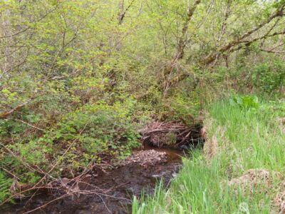 0 XXX Hagen Road , Mossyrock, WA 98645 - Photo 17