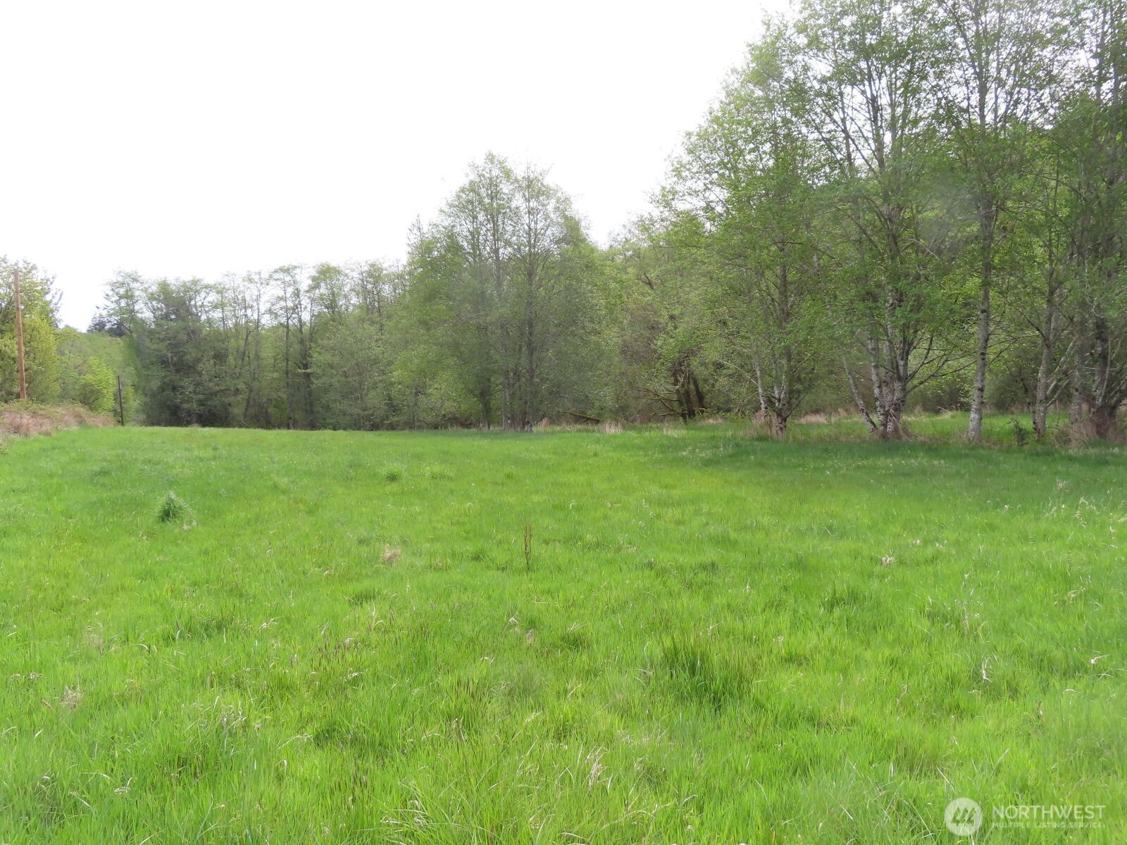 0 XXX Hagen Road , Mossyrock, WA 98645