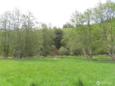 0 XXX Hagen Road , Mossyrock, WA 98645 - Photo 21