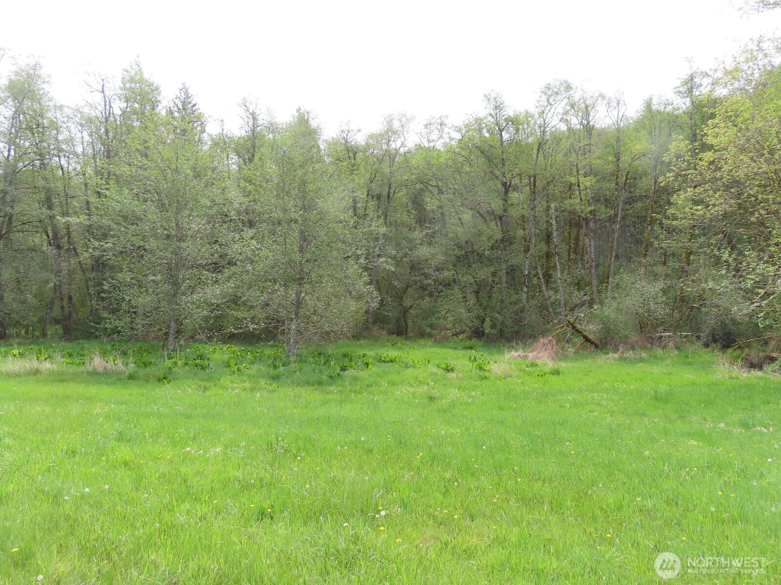 0 XXX Hagen Road , Mossyrock, WA 98645