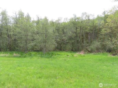 0 XXX Hagen Road , Mossyrock, WA 98645 - Photo 22