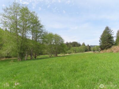 0 XXX Hagen Road , Mossyrock, WA 98645 - Photo 23