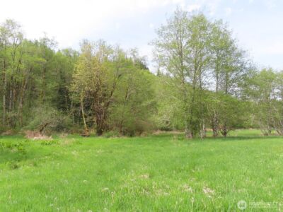 0 XXX Hagen Road , Mossyrock, WA 98645 - Photo 24