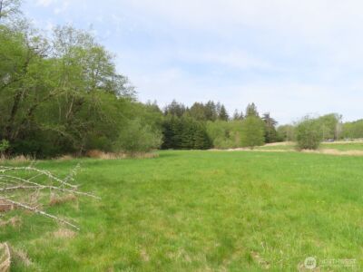 0 XXX Hagen Road , Mossyrock, WA 98645 - Photo 25