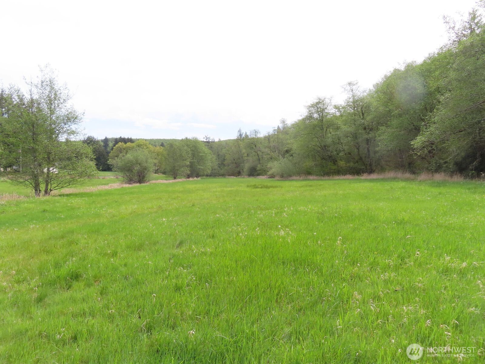 0 XXX Hagen Road , Mossyrock, WA 98645