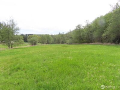 0 XXX Hagen Road , Mossyrock, WA 98645 - Photo 26