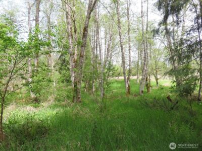 0 XXX Hagen Road , Mossyrock, WA 98645 - Photo 28