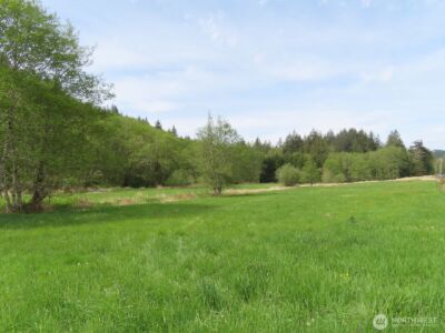 0 XXX Hagen Road , Mossyrock, WA 98645 - Photo 3